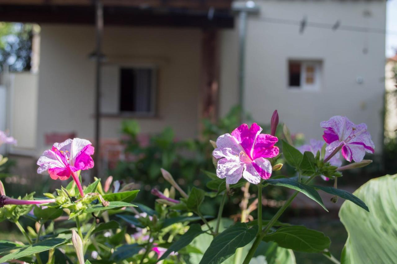 La Casa De Almirall Santa Rosa de Calamuchita Eksteriør bilde